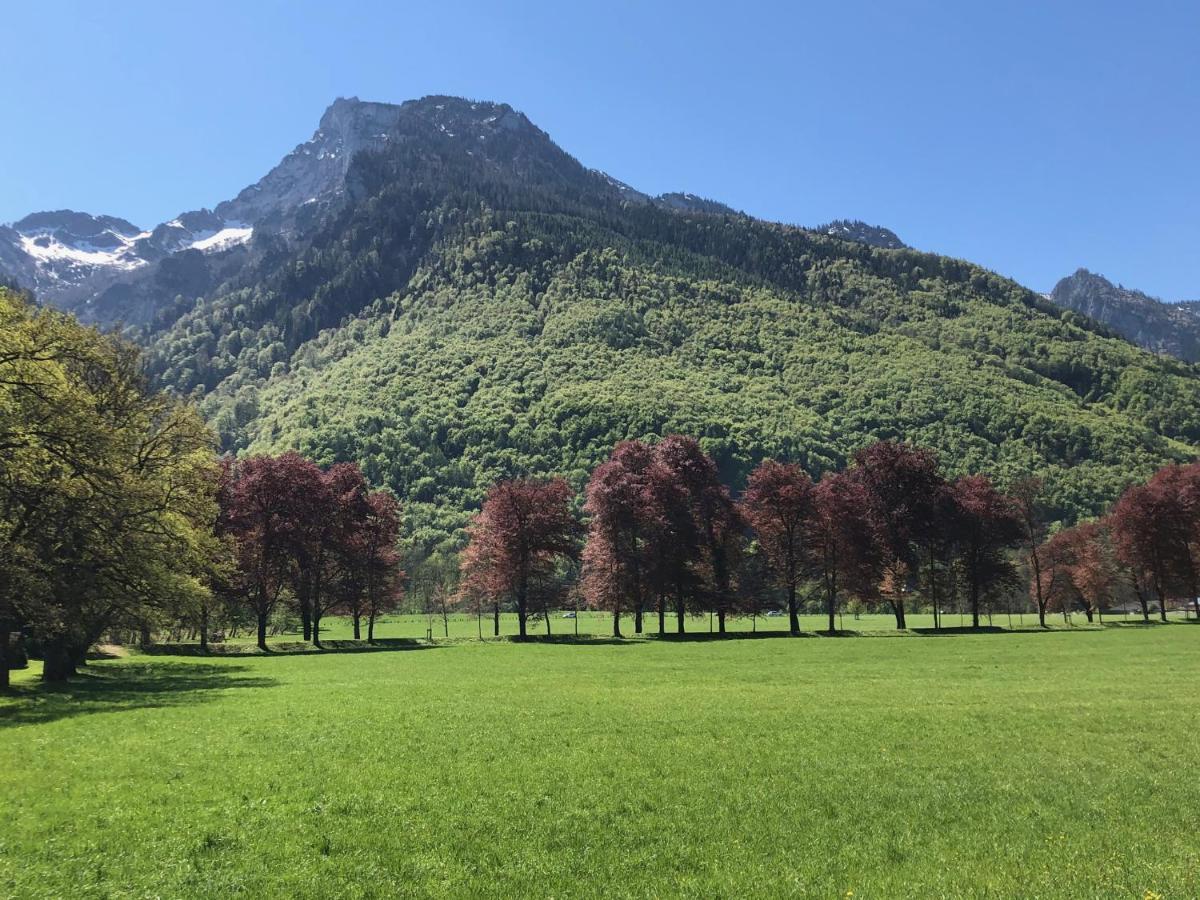 グレーディヒAlpin Chicアパートメント エクステリア 写真